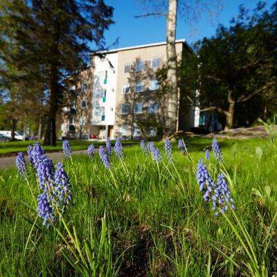 CJU_Poutapolku_3_5D32349_Photo_PasiSalminen_com (1).jpg