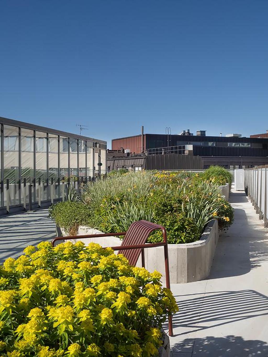 Freda 42 kattoterassi