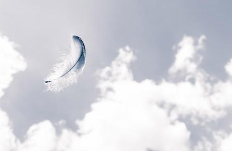iStock-519387870_sml.jpg