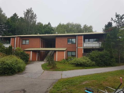 Pientalokorjaus, Consti.jpg