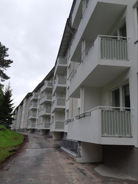 Talvikorjaus Consti.jpg